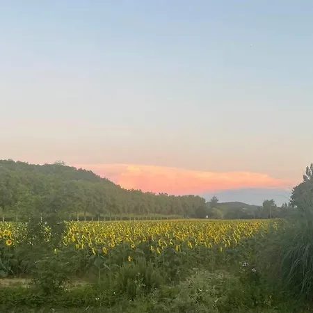 Maison Au Calme Au Bord De La Riviere Gers *
